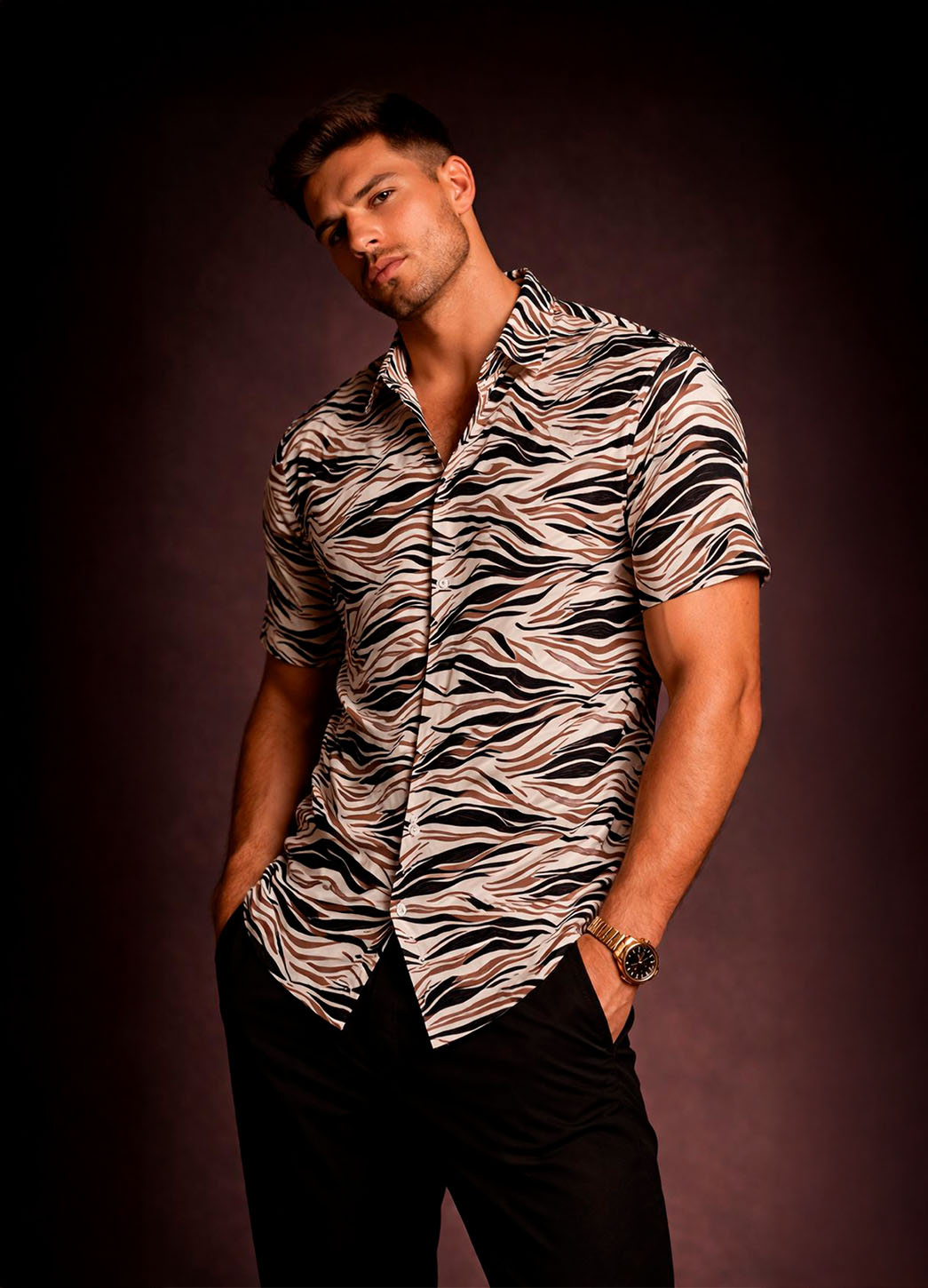 Camisa Clásica Haves